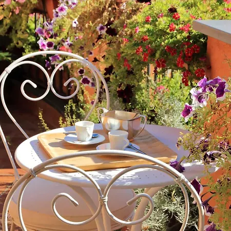 Rooftop - Foro Lux *